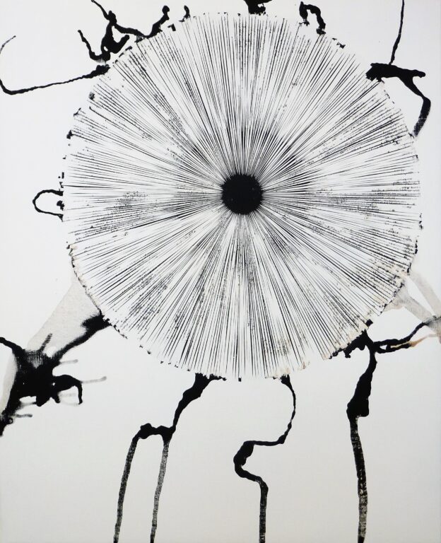 focussed VII - STEFAN GLETTLER 
