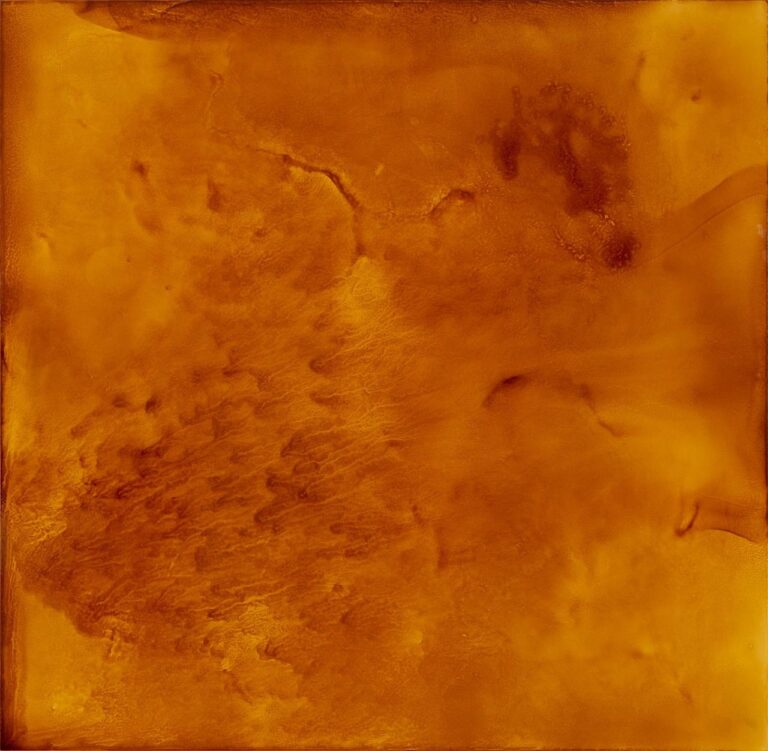 ohne Titel (deep field) - STEFAN GLETTLER 