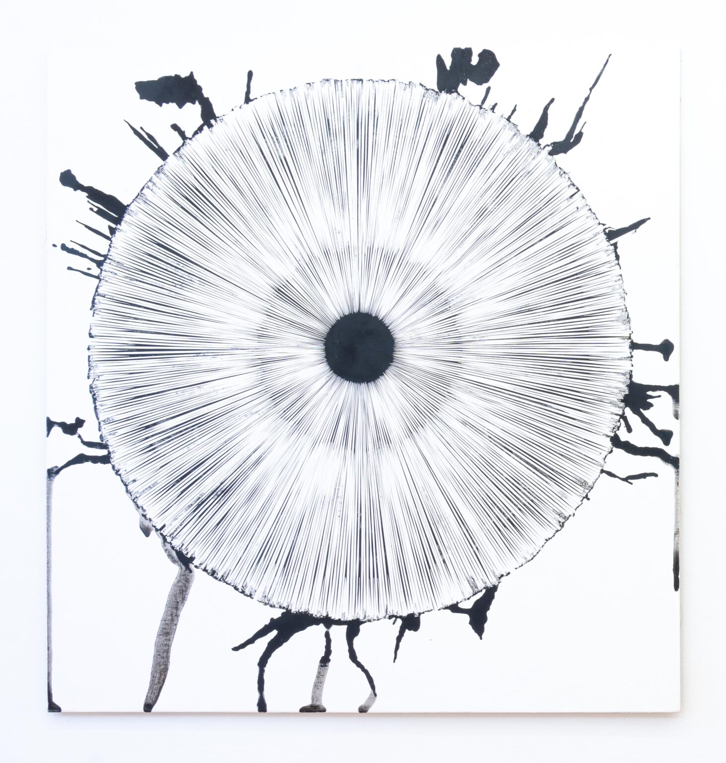 focussed IV - STEFAN GLETTLER 