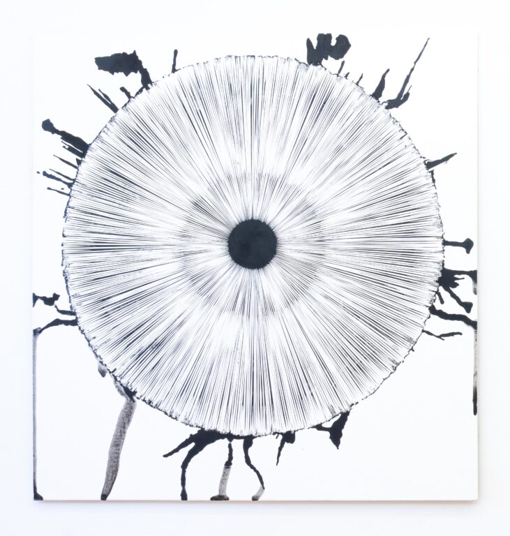 focussed IV - STEFAN GLETTLER 
