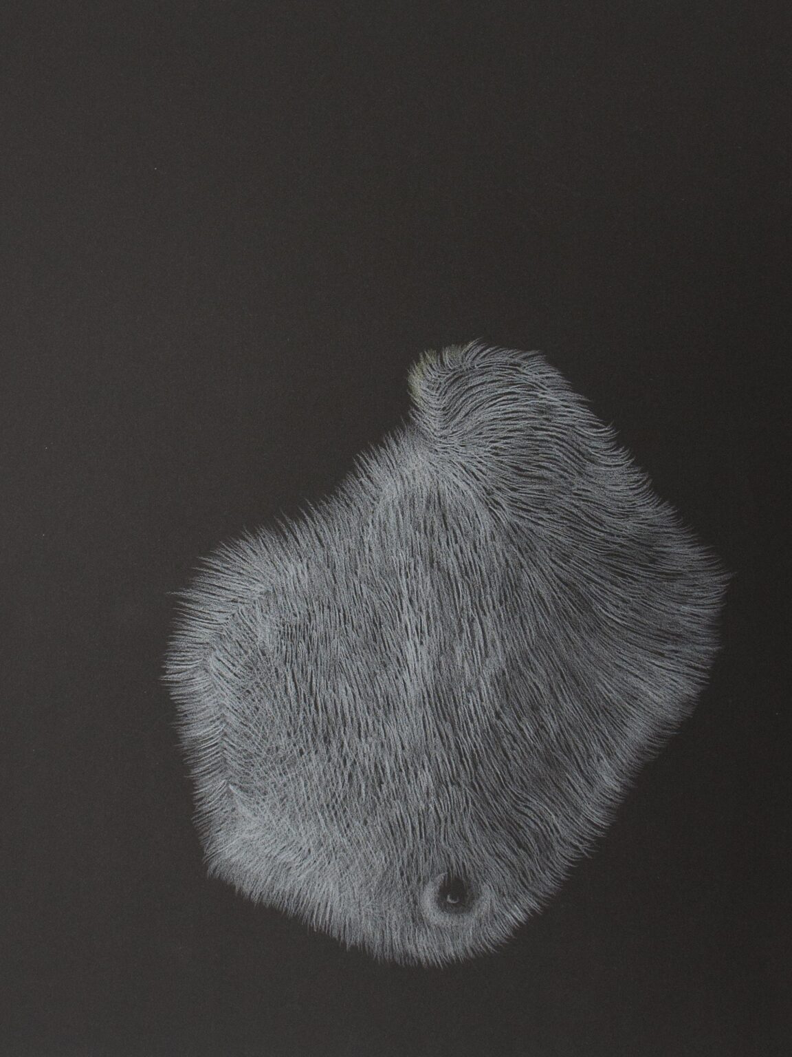 ohne Titel - MARIE NEUGEBAUER 