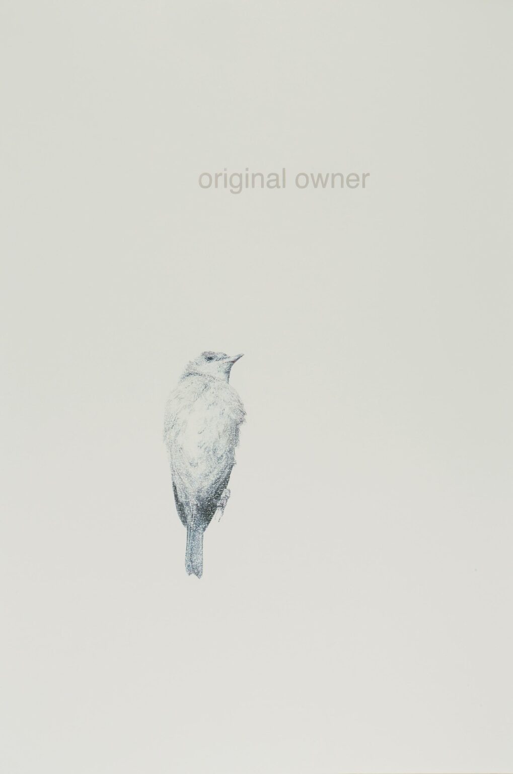 original owner - ALFREDO BARSUGLIA 