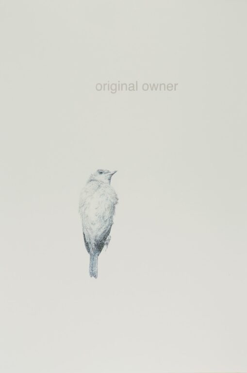 original owner - ALFREDO BARSUGLIA 