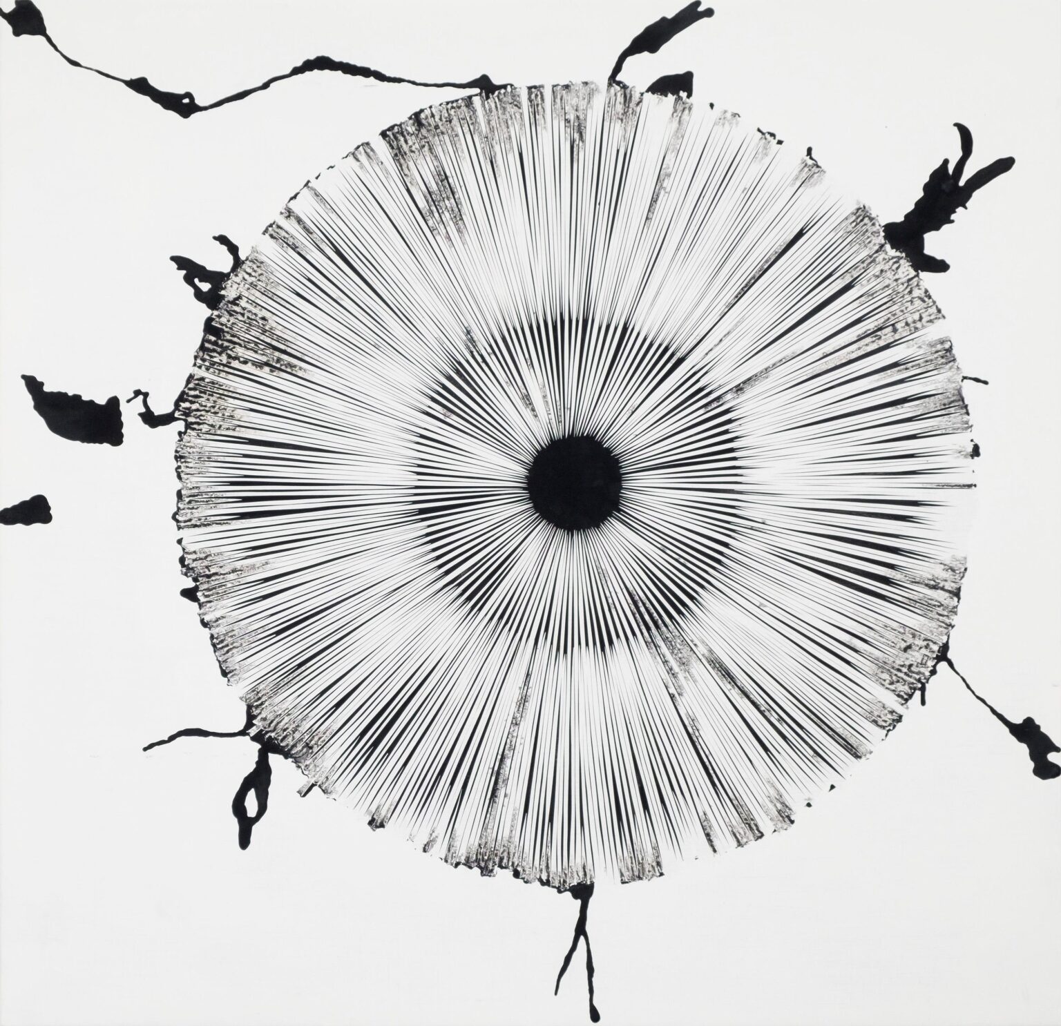 focussed VI - STEFAN GLETTLER 