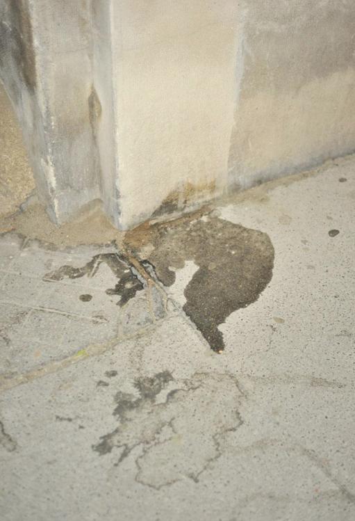 Manifesting Pee - YOSHINORI NIWA 