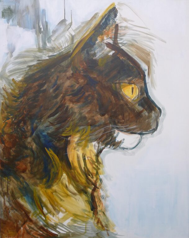 ohne Titel (Katzen Portrait) - MARKUS DRESSLER 