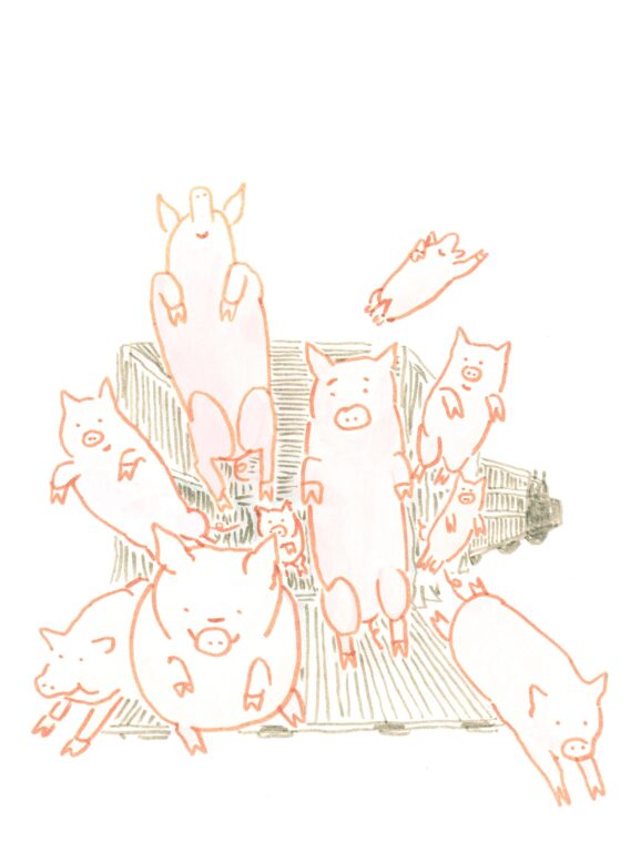 Save Some Pigs Today - MARKUS DRESSLER 