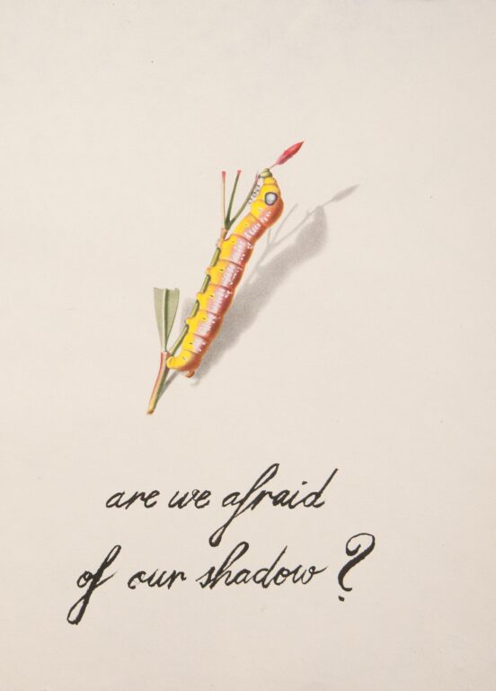 are we afraid of our shadow? - ZENITA KOMAD 
