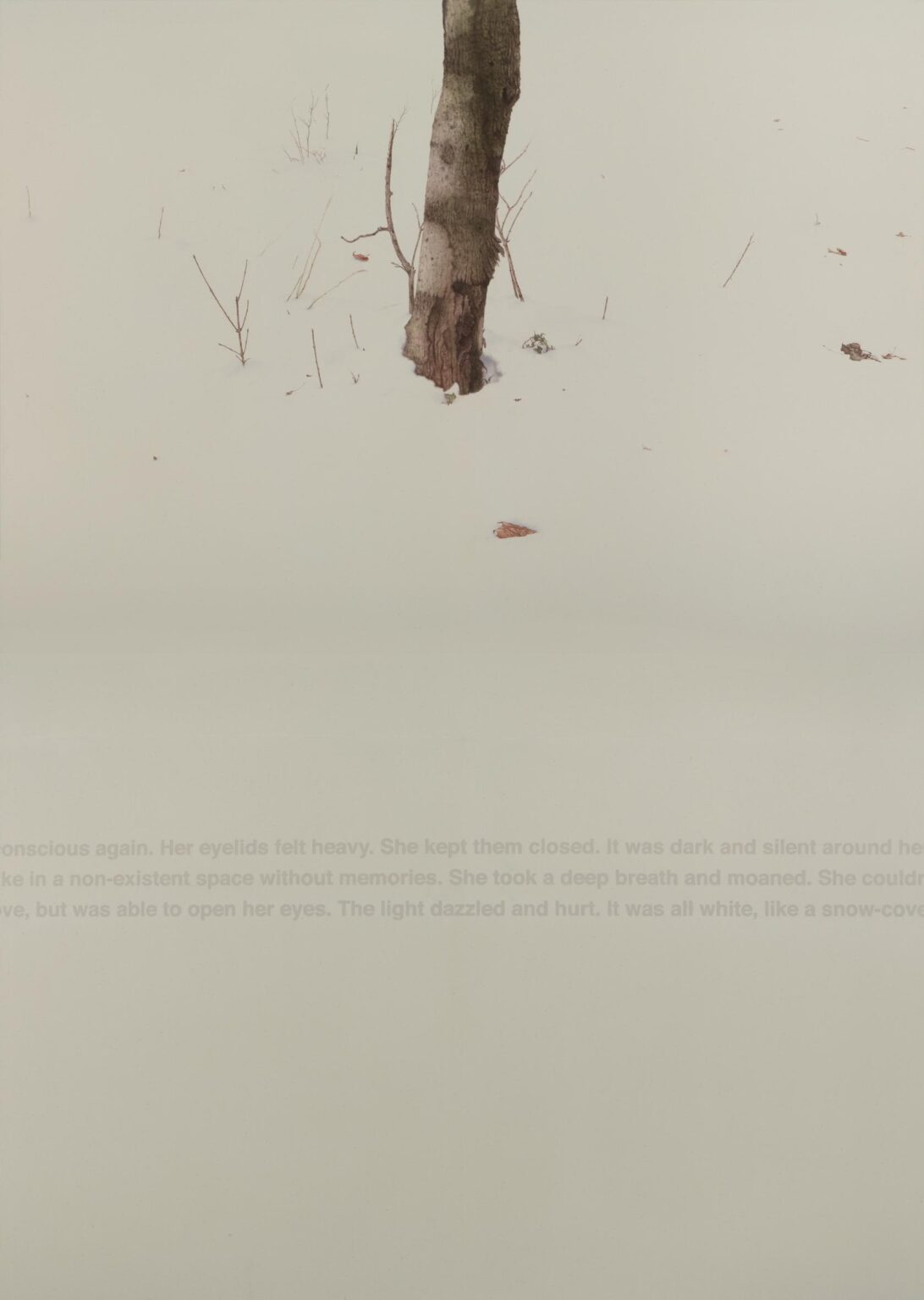 Snow covered scene - ALFREDO BARSUGLIA 