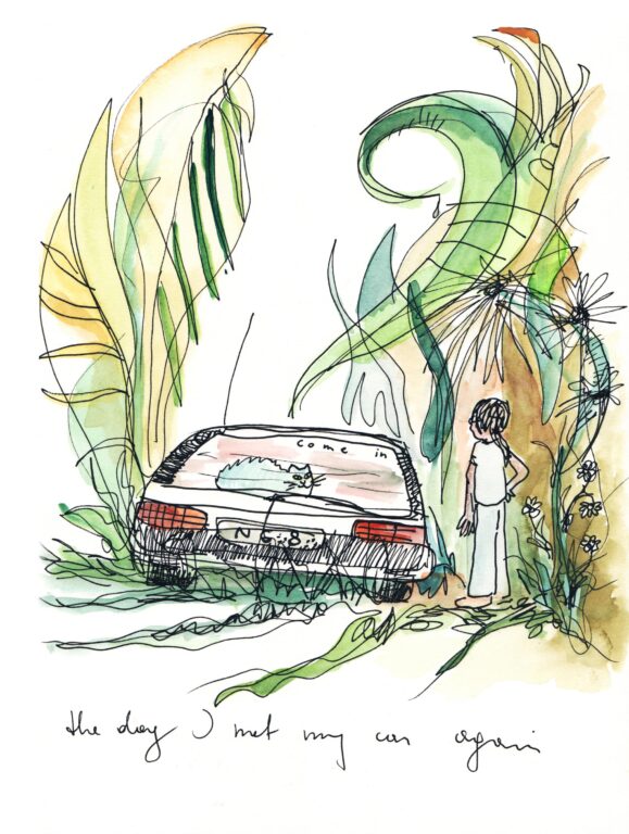 Autosafari (the day I met my car again) - MARKUS DRESSLER 