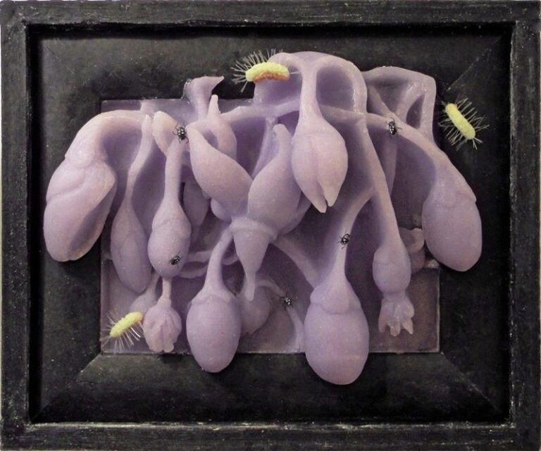 Nightshade - JEANNE SILVERTHORNE 