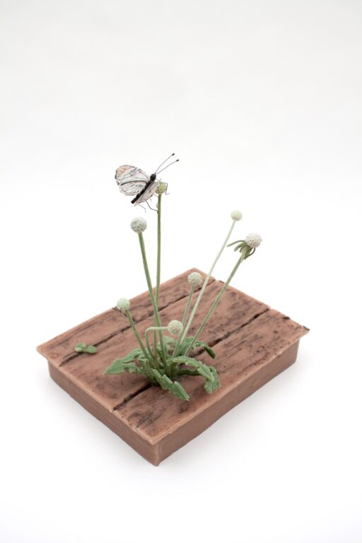 Studio Floor with Dandelion Stems and Glaswing Butterfly - JEANNE SILVERTHORNE 