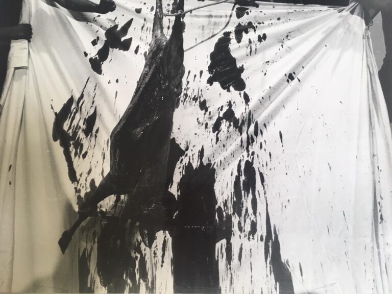34. Aktion (1970) - HERMANN NITSCH 