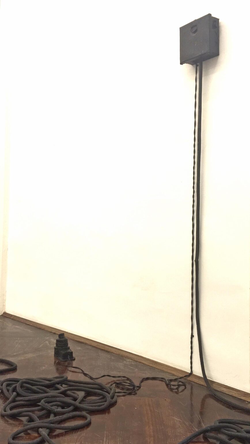 Distributor and Old Switch with Wires - JEANNE SILVERTHORNE 