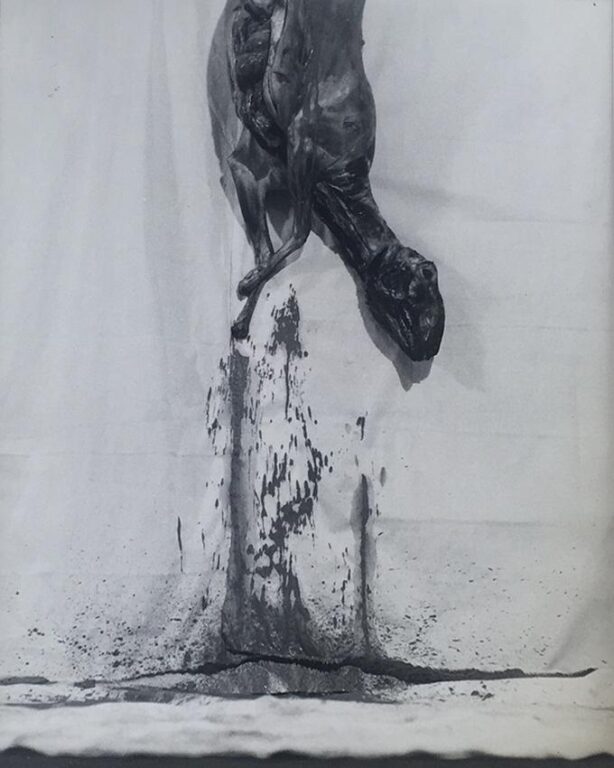 9. Aktion (1965) - HERMANN NITSCH 