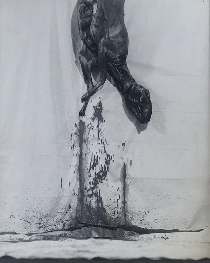 9. Aktion (1965) - HERMANN NITSCH 