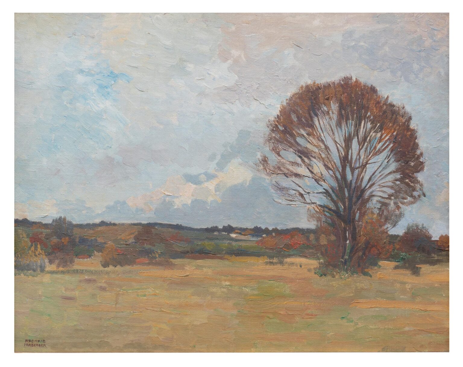 Herbst in den Murauen - Ferdinand Pamberger 