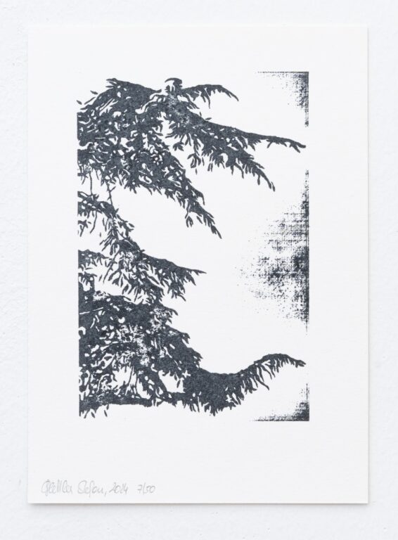 ohne Titel - STEFAN GLETTLER 