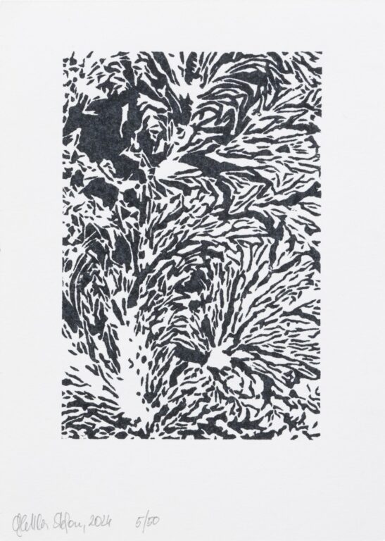 ohne Titel - STEFAN GLETTLER 