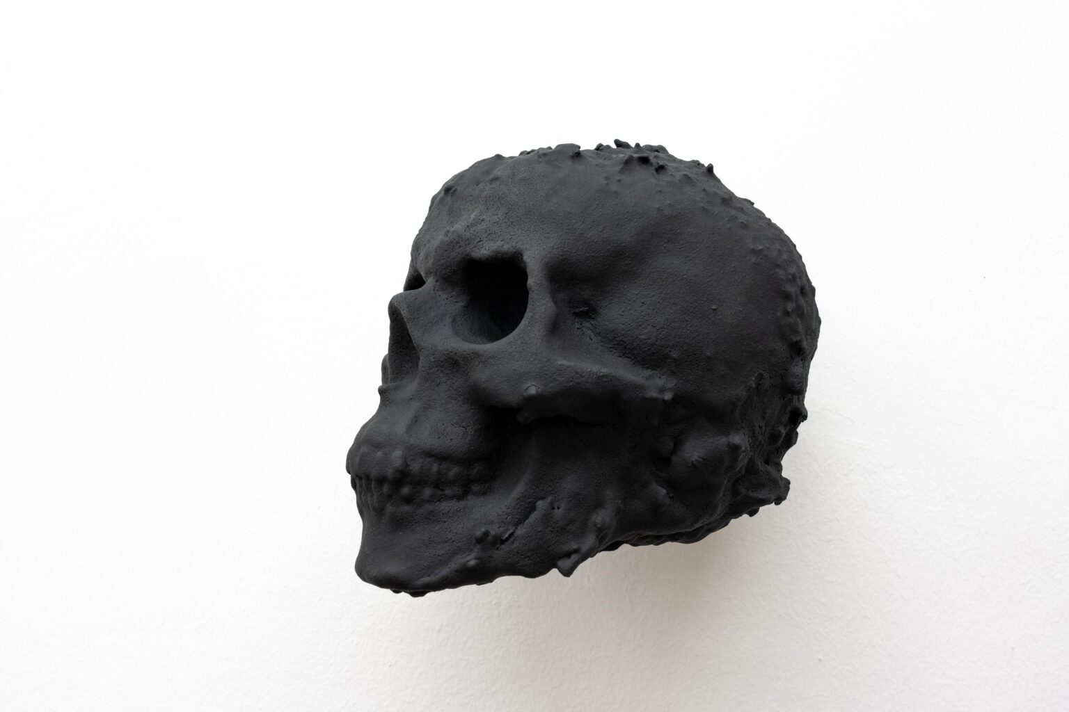 REVOLUTION EVOLUTION - WOLFGANG BECKSTEINER 