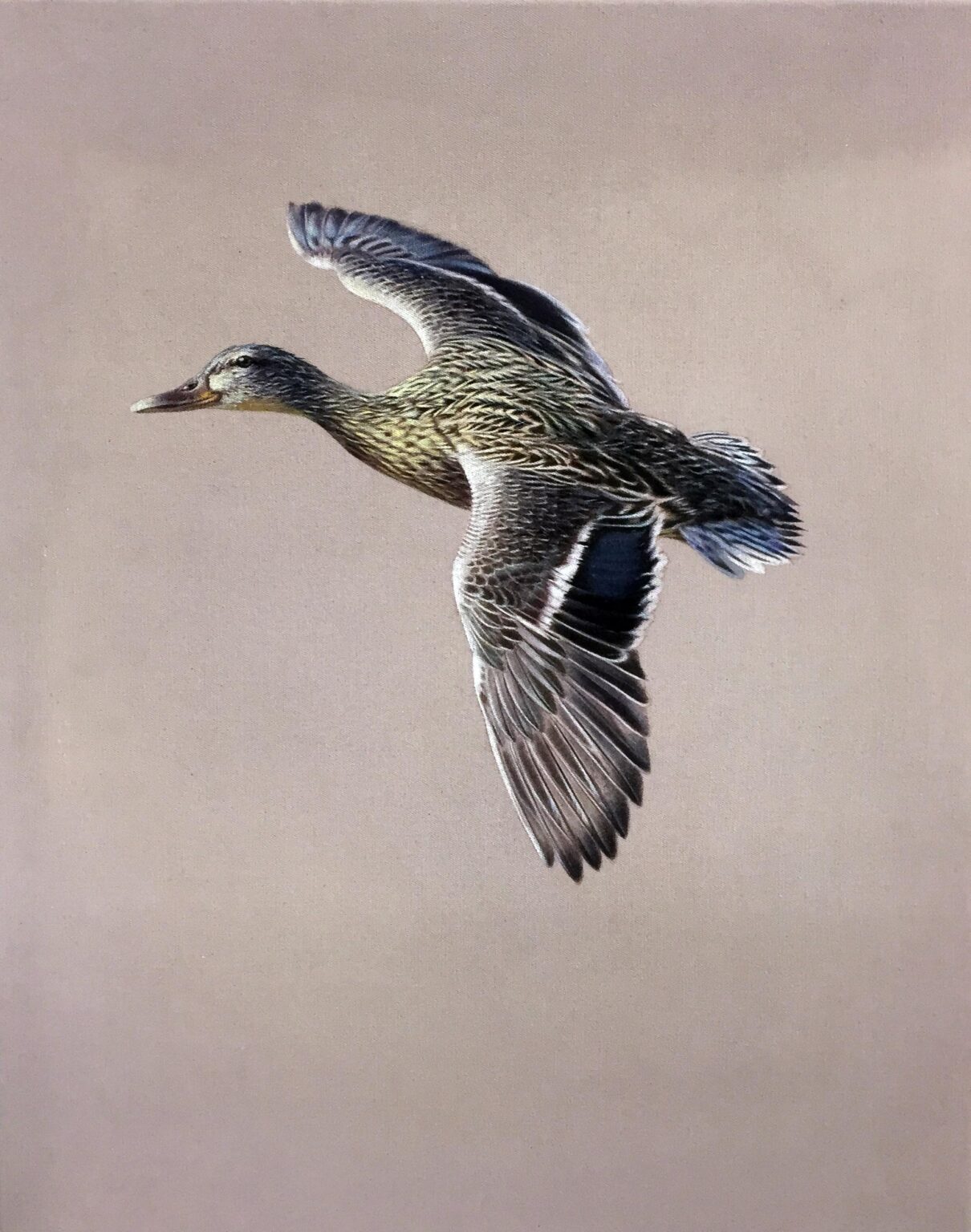 ohne Titel - ALFREDO BARSUGLIA 