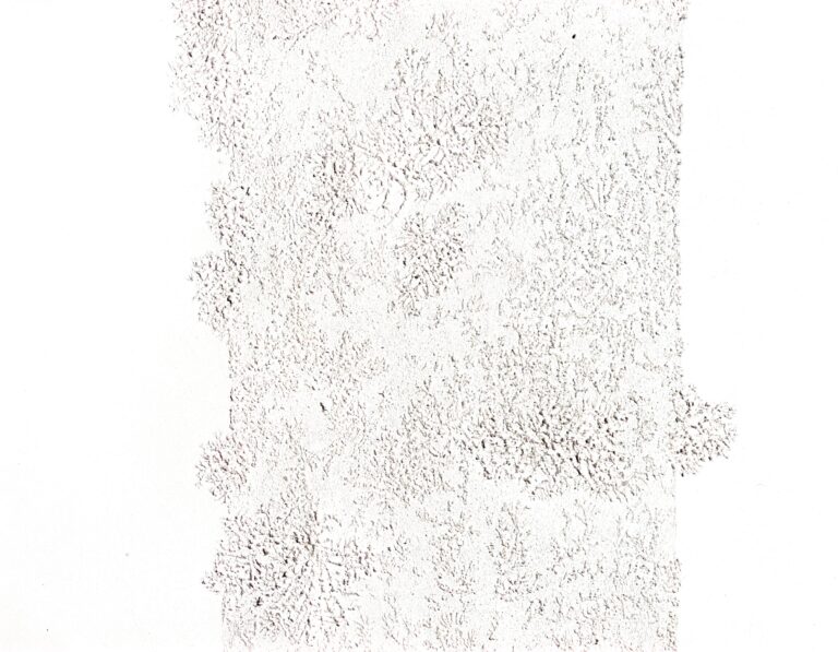 natural cover 1 - MARIANNE LANG 