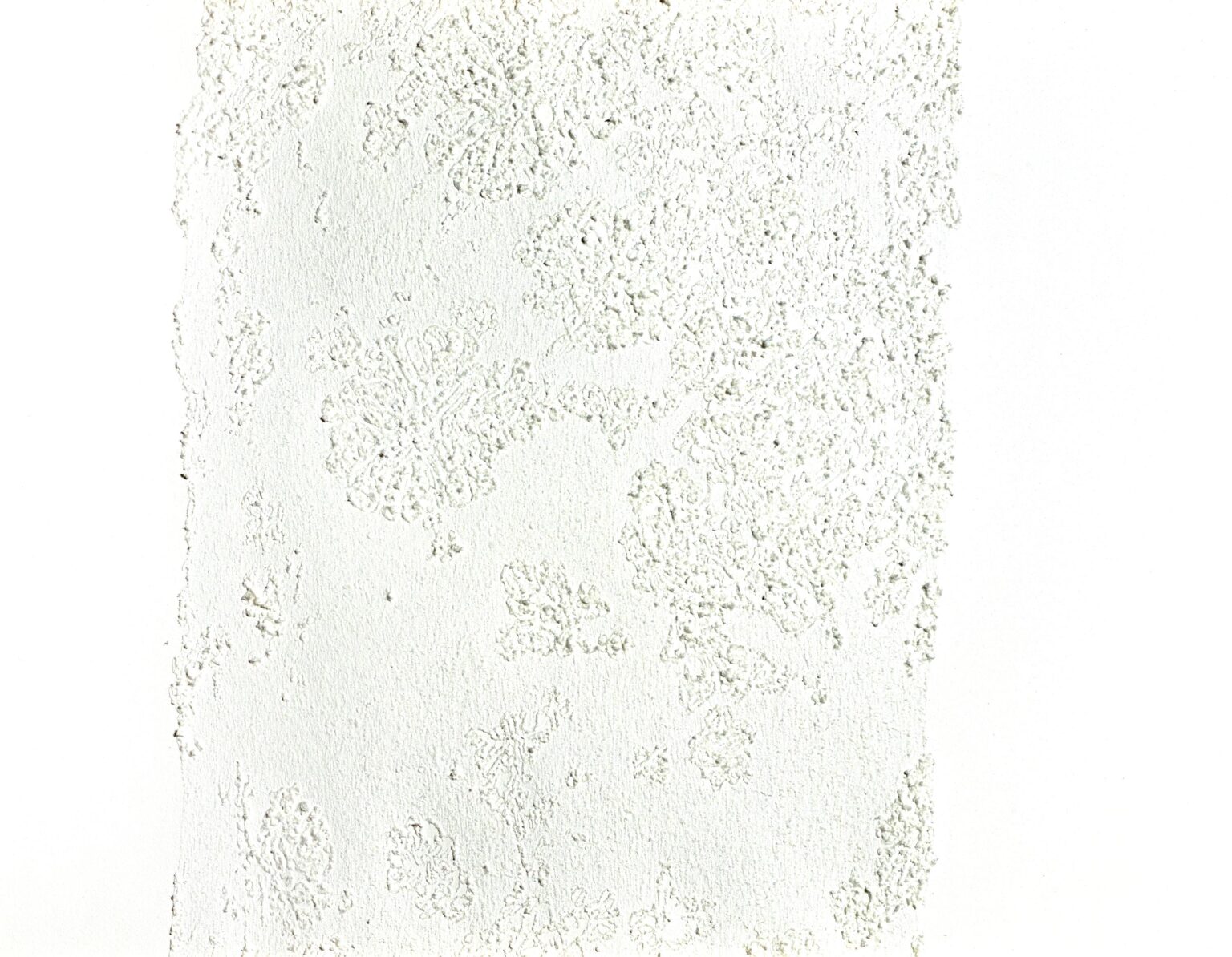 natural cover 2 - MARIANNE LANG 