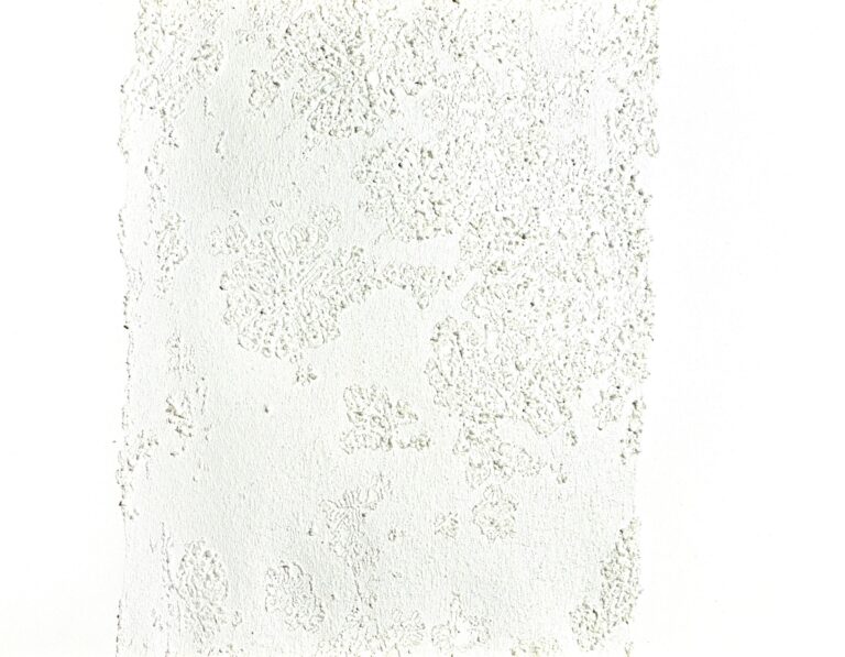 natural cover 2 - MARIANNE LANG 