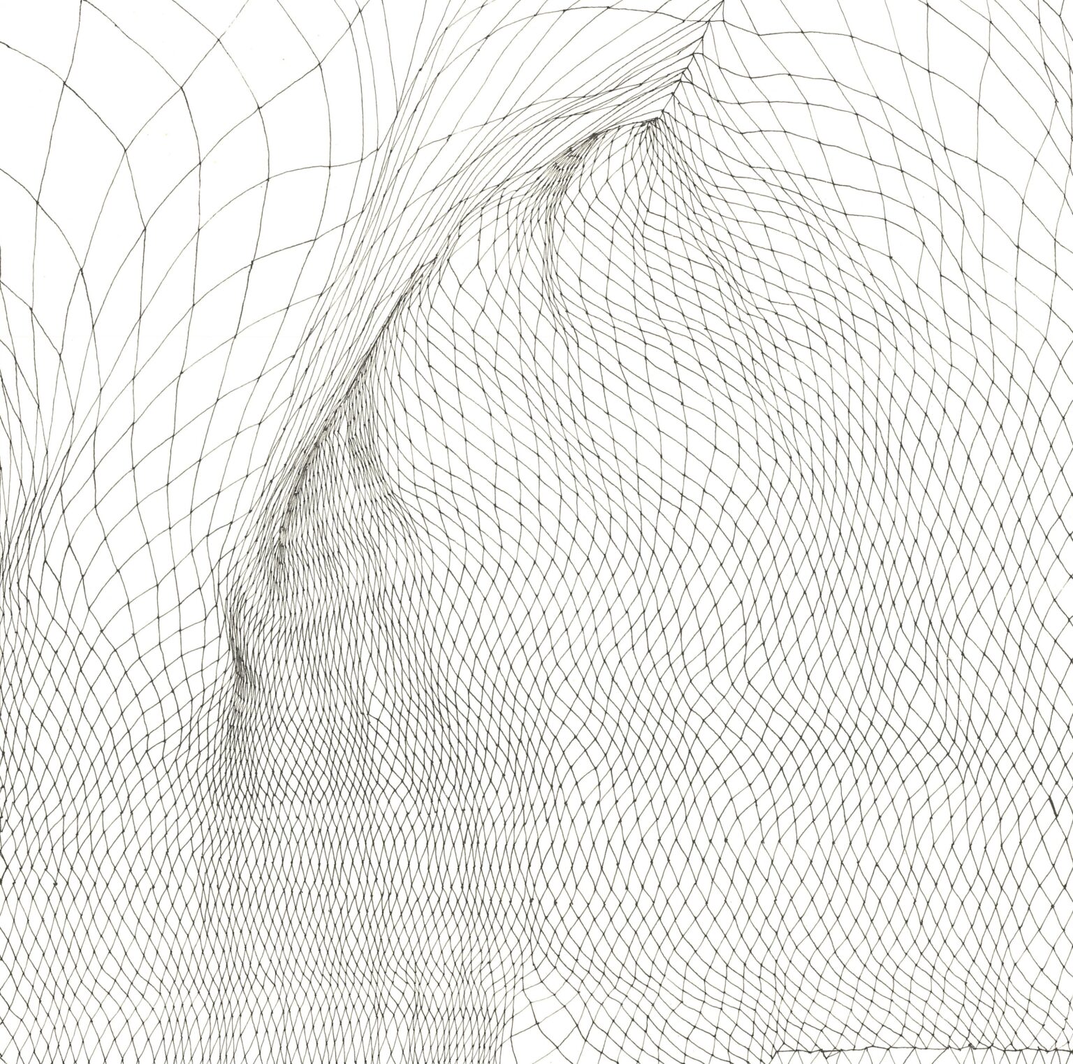 Rapid Lines (flie&szlig;end 03) - BETTINA PASCHKE 