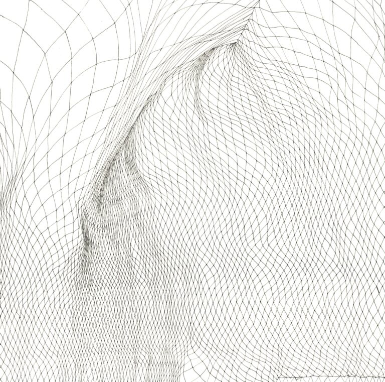 Rapid Lines (fließend 03) - BETTINA PASCHKE 