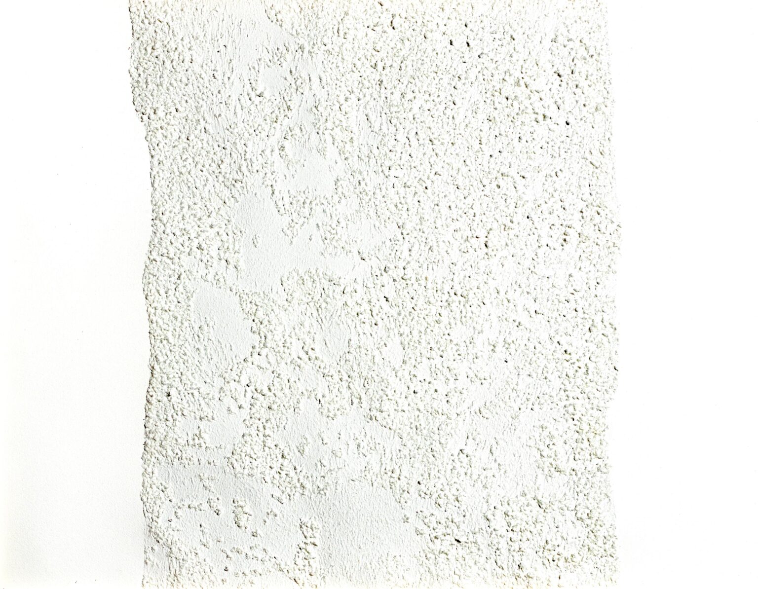 natural cover 3 - MARIANNE LANG 