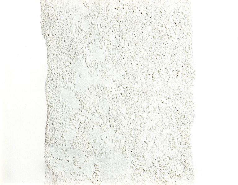 natural cover 3 - MARIANNE LANG 