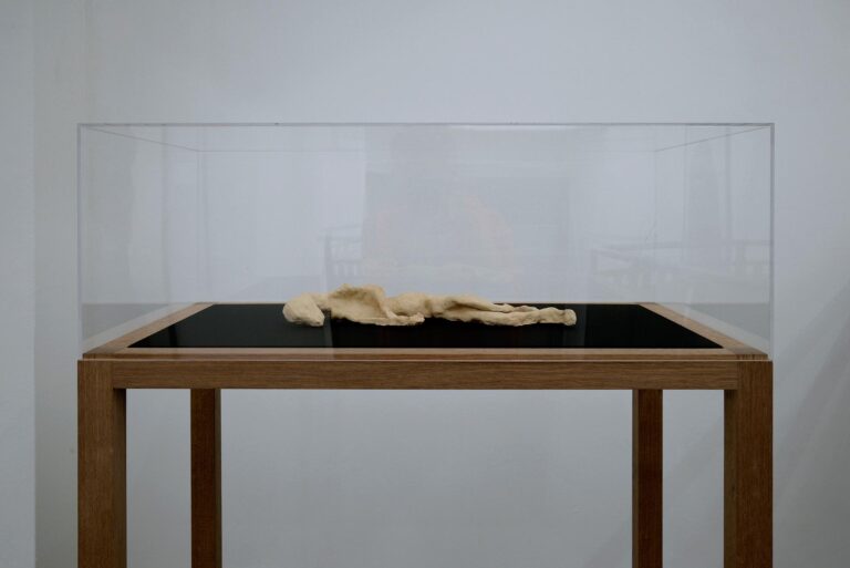 untitled (I killed my Angsthase) - Sofia Goscinski 