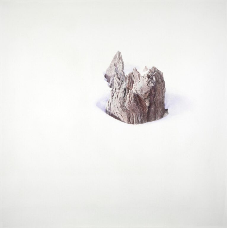 Seepferdchen - ALFREDO BARSUGLIA 