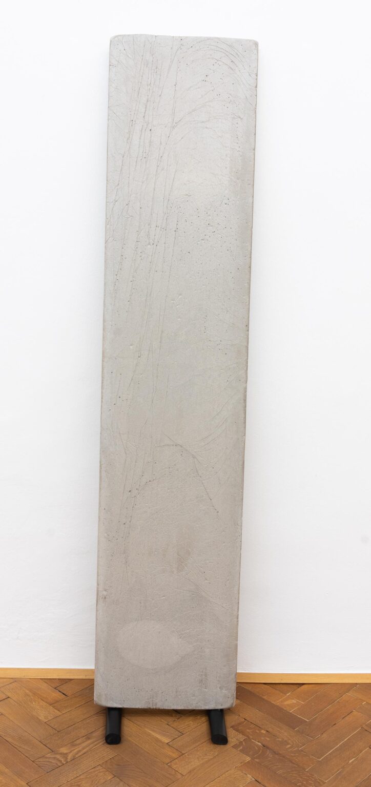 EIN HAUCH AUS DER ACHSE - WOLFGANG BECKSTEINER 