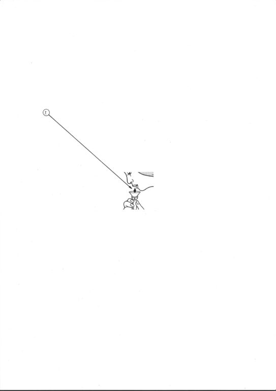 Product Features - WENDELIN PRESSL 