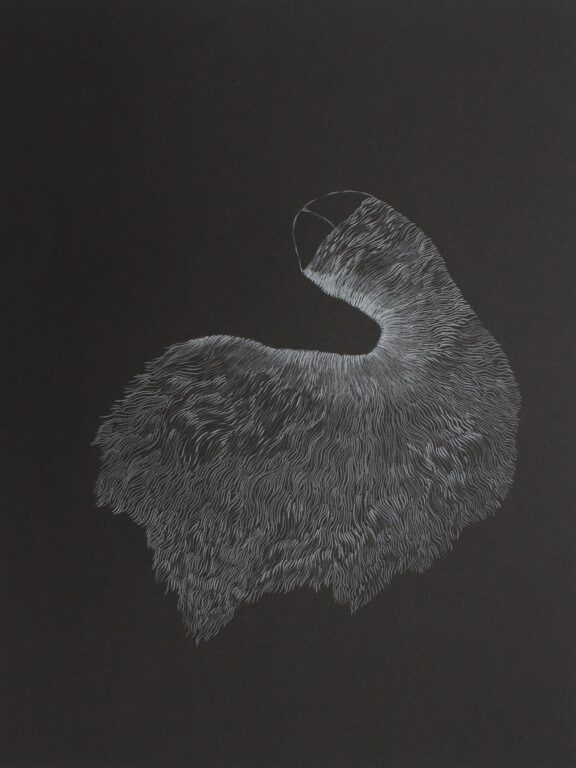ohne Titel - MARIE NEUGEBAUER 