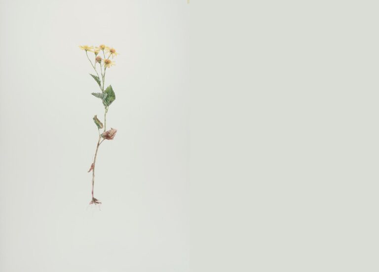 Alant - ALFREDO BARSUGLIA 