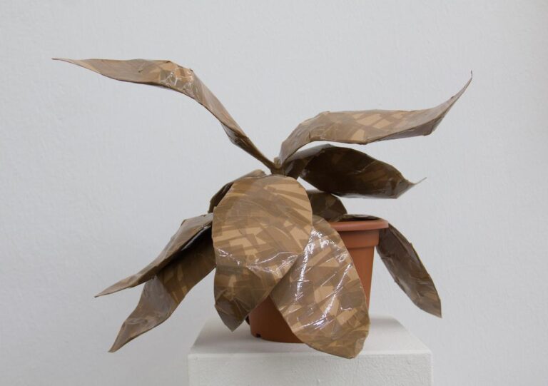 Paper Plant - MARIANNE LANG 