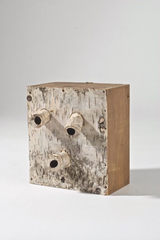 Maske - LOIS WEINBERGER 