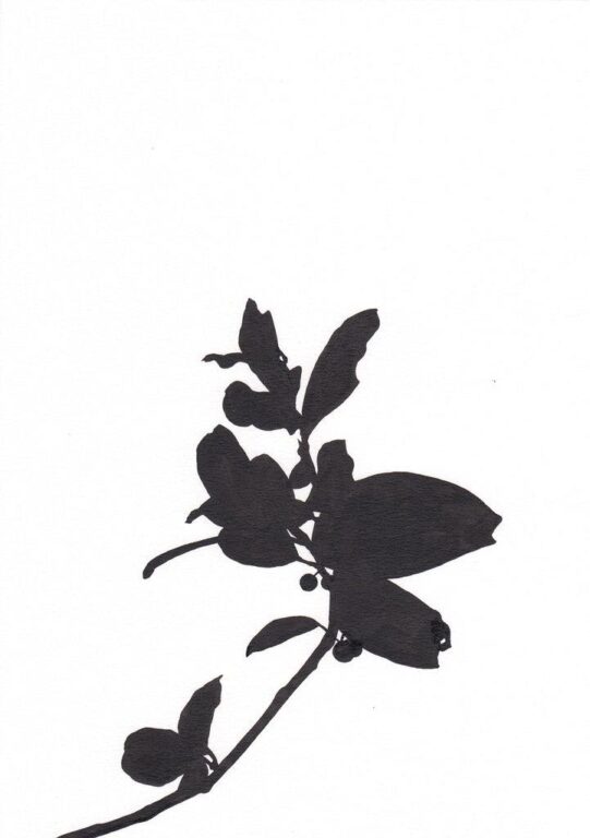 Charge Noir 7 - ALFREDO BARSUGLIA 