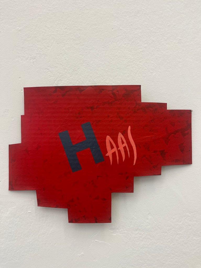 HAAS - Franz Vana 