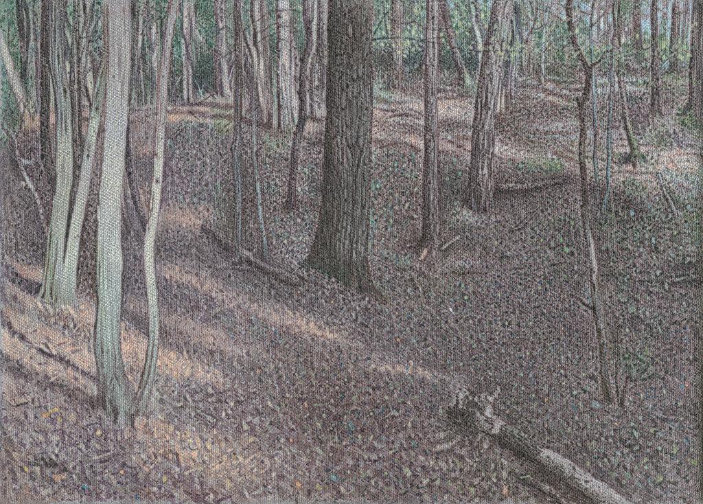 o.T. (Wald) - ALFREDO BARSUGLIA 