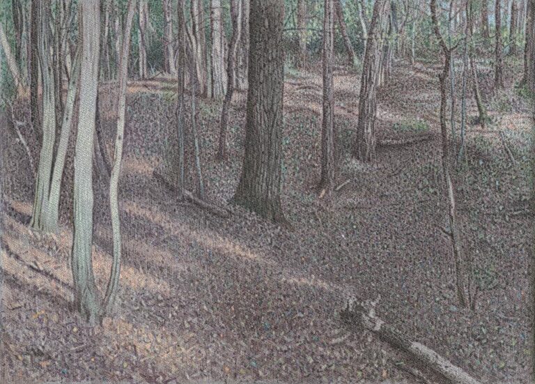 o.T. (Wald) - ALFREDO BARSUGLIA 
