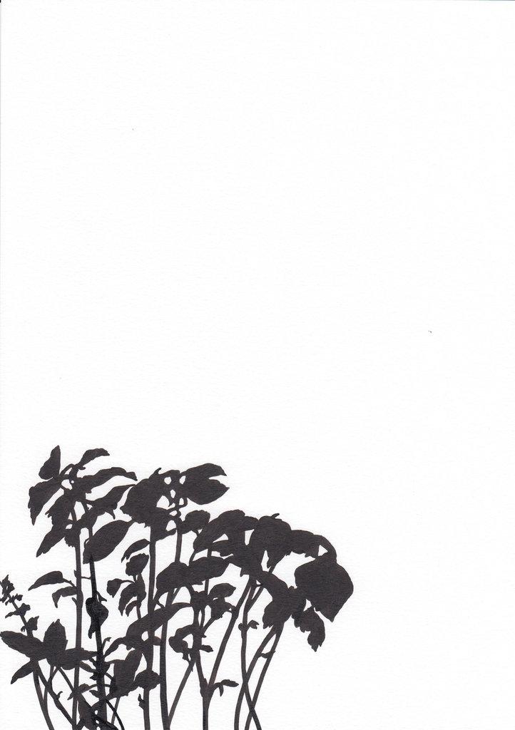 Charge Noir 6 - ALFREDO BARSUGLIA 