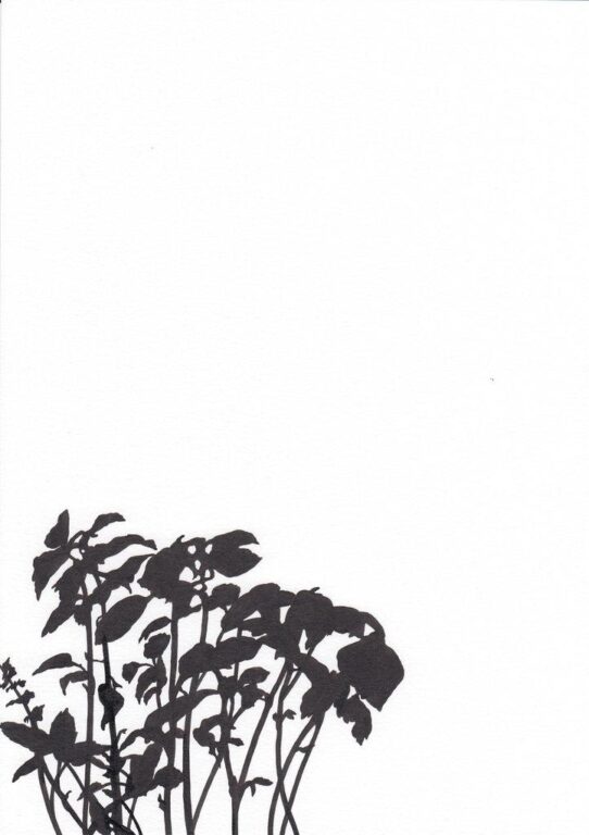 Charge Noir 6 - ALFREDO BARSUGLIA 
