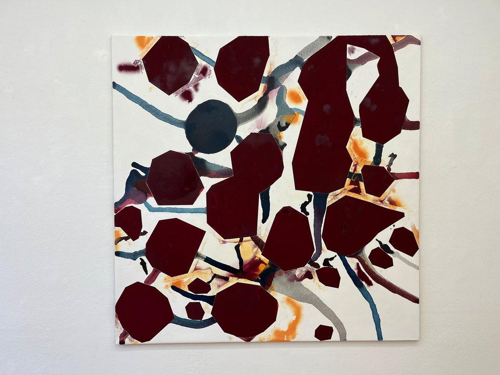 red swim fields - STEFAN GLETTLER 