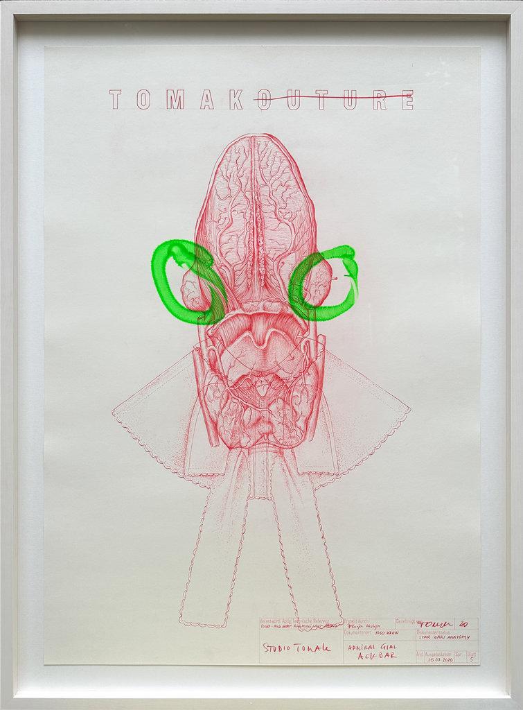 Admiral Gial Ackbar - Tomak 