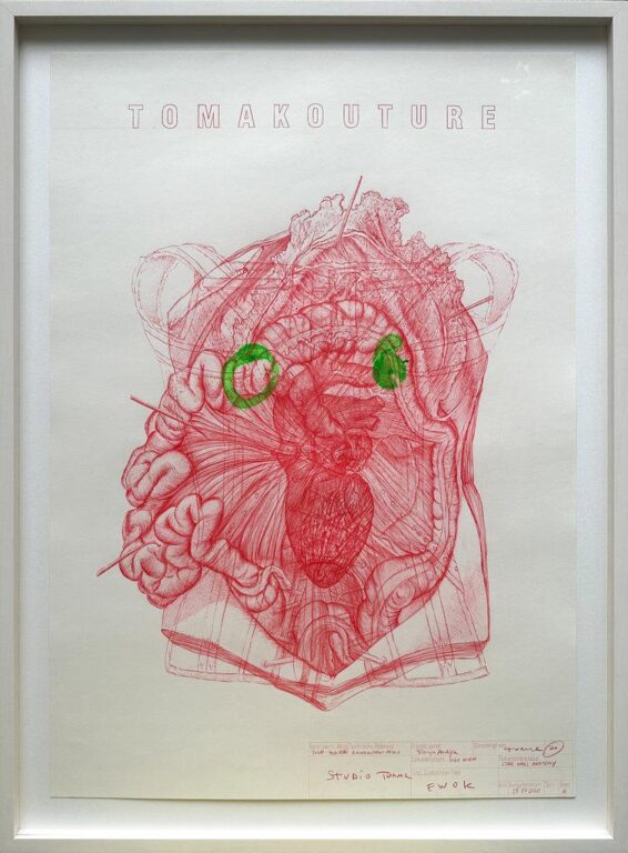 Ewok - Tomak 