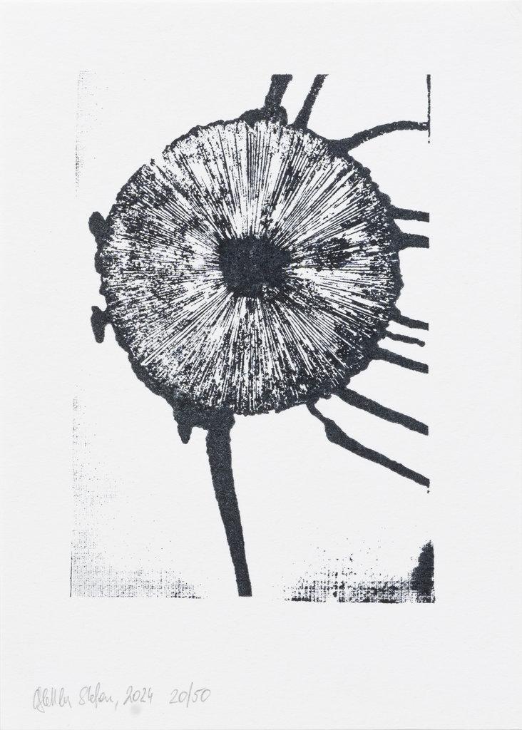 ohne Titel - STEFAN GLETTLER 